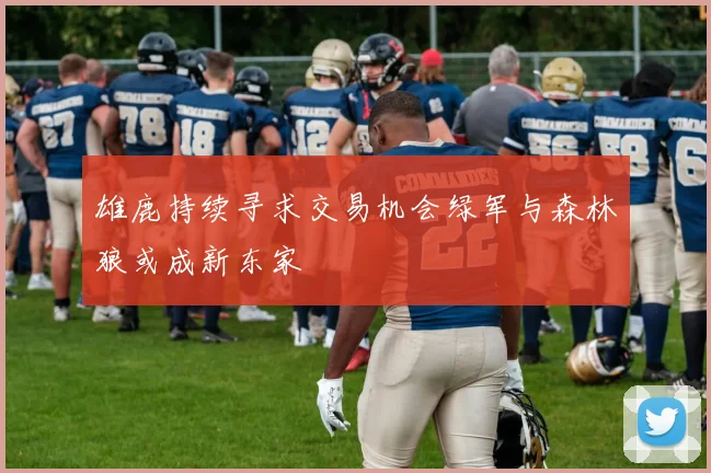 雄鹿持续寻求交易机会绿军与森林狼或成新东家